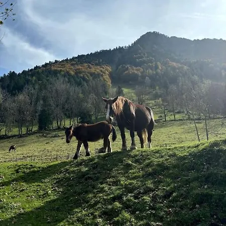 Apartament T2bis, Belle Vue Centre *